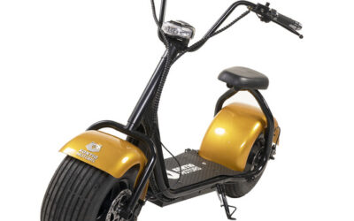 Kontio Motors Kruiser Gold 0.7kWh akulla