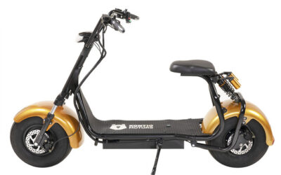 Kontio Motors Kruiser Premium Pack Gold 0.7kWh akulla